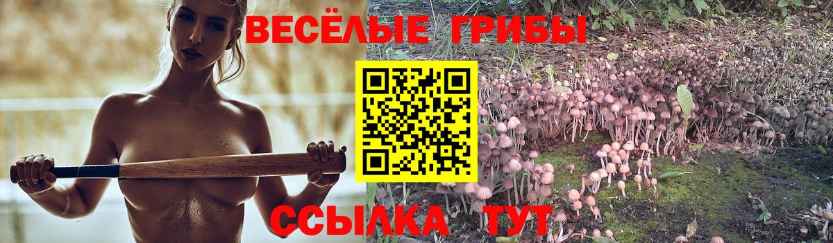 магазин    Псилоцибиновые грибы GOLDEN TEACHER  Вход с VPN  Батайск  Псилоцибиновые грибы GOLDEN TEACHER 